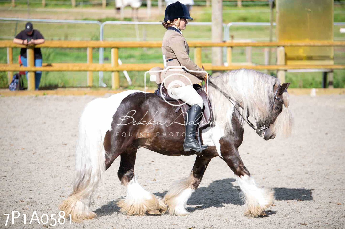 Home Farm Annual Show - Working Hunter 19th August 2023