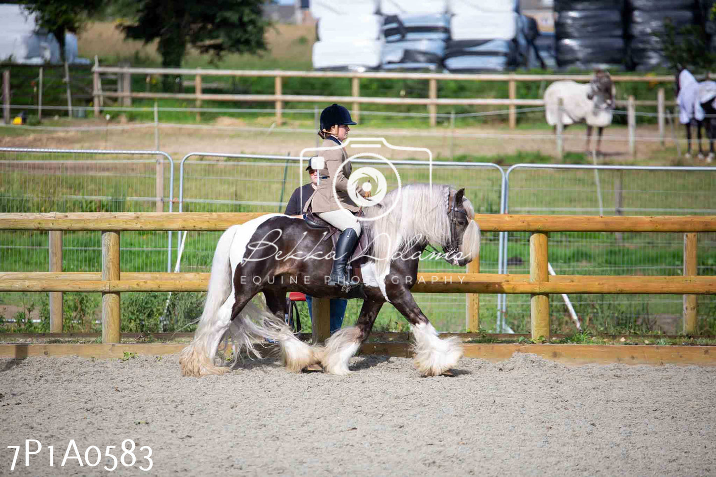Home Farm Annual Show - Working Hunter 19th August 2023