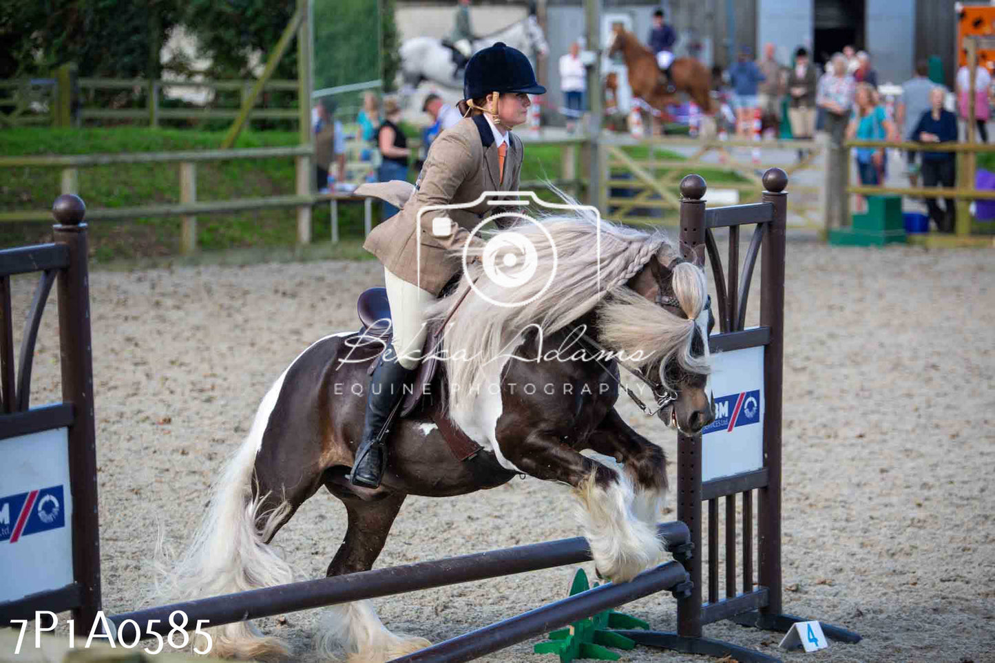 Home Farm Annual Show - Working Hunter 19th August 2023