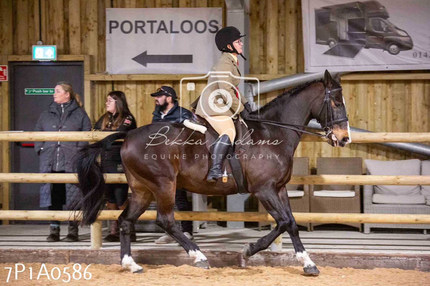 Home Farm Spring Show - Ridden Showing 24th March 2024 - Part 2