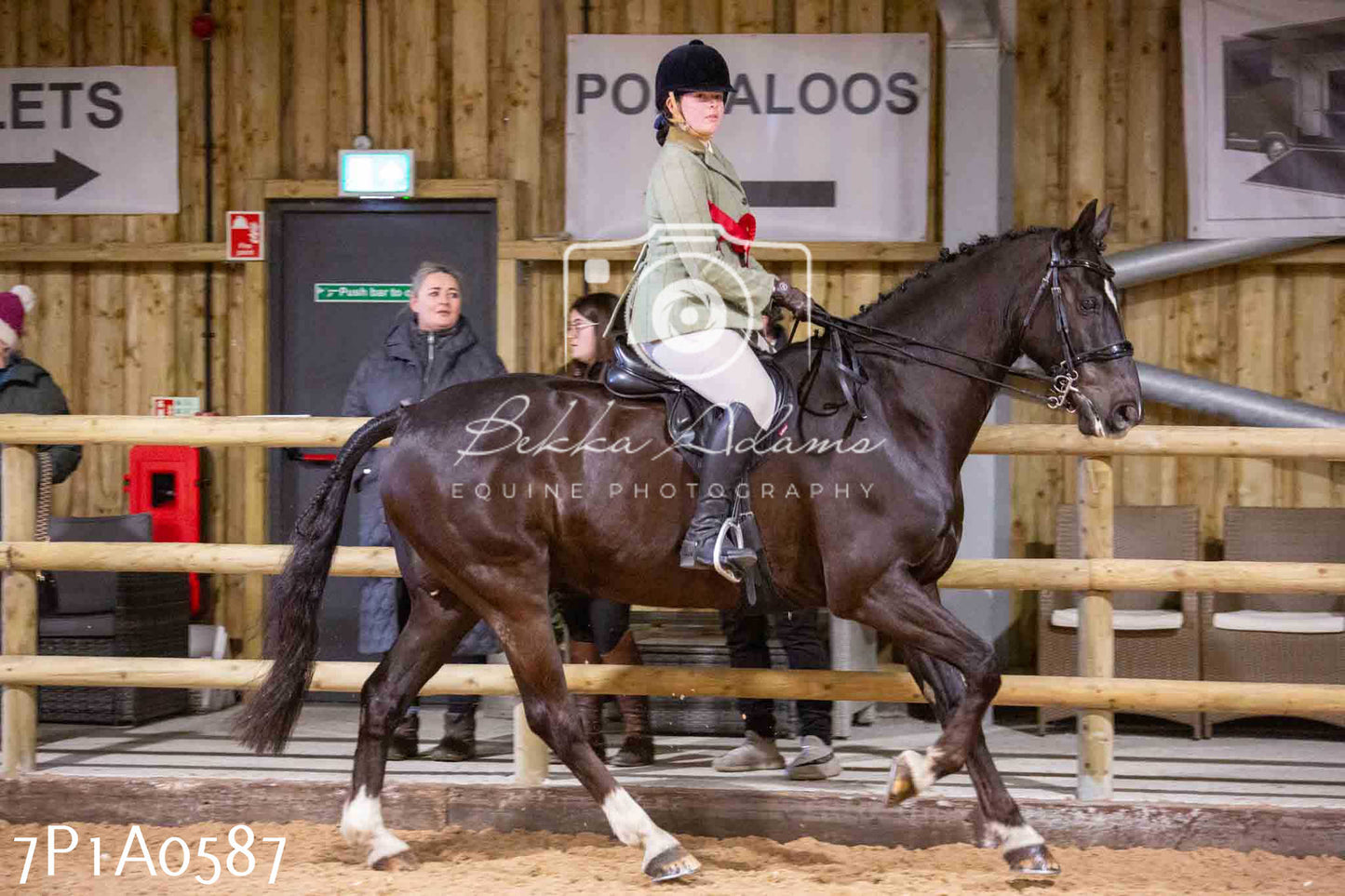 Home Farm Spring Show - Ridden Showing 24th March 2024 - Part 2