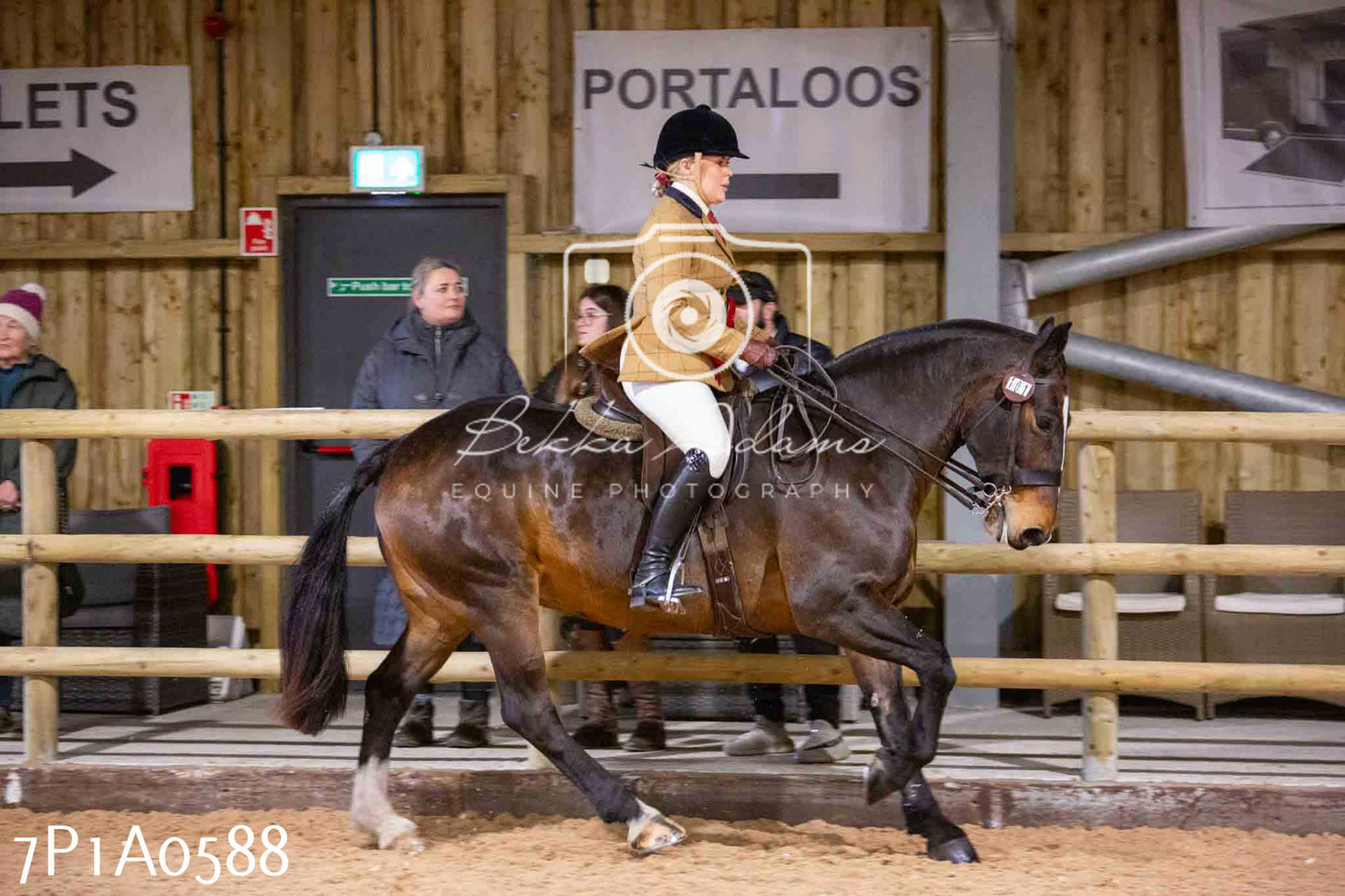 Home Farm Spring Show - Ridden Showing 24th March 2024 - Part 2
