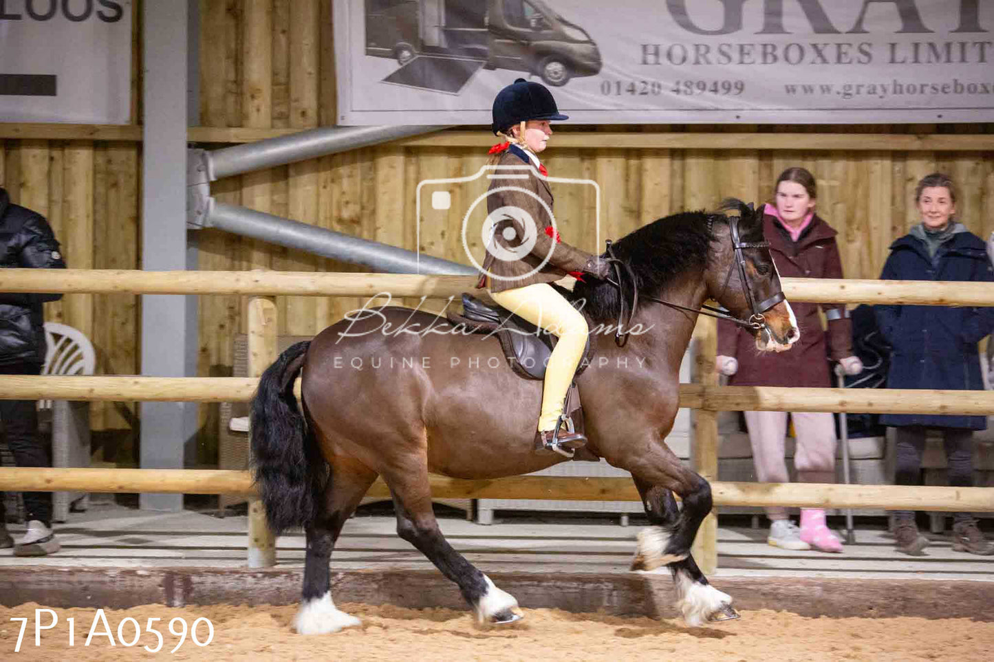 Home Farm Spring Show - Ridden Showing 24th March 2024 - Part 2
