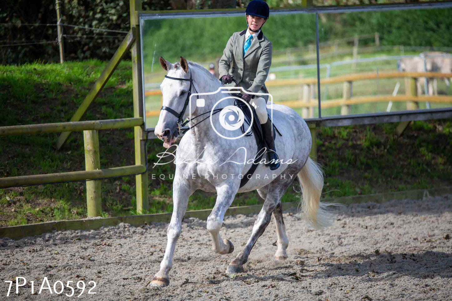 Home Farm Annual Show - Working Hunter 19th August 2023