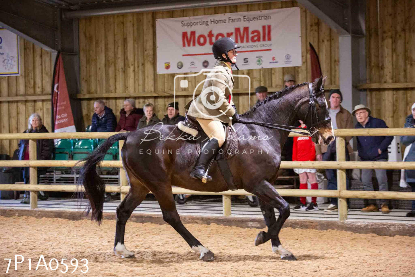 Home Farm Spring Show - Ridden Showing 24th March 2024 - Part 2