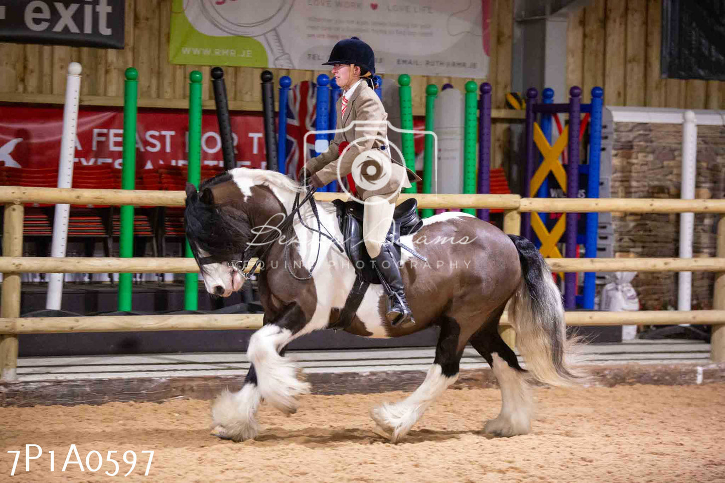 Home Farm Spring Show - Ridden Showing 24th March 2024 - Part 2