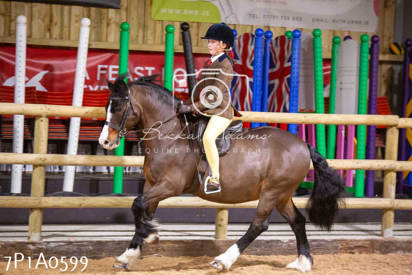 Home Farm Spring Show - Ridden Showing 24th March 2024 - Part 2