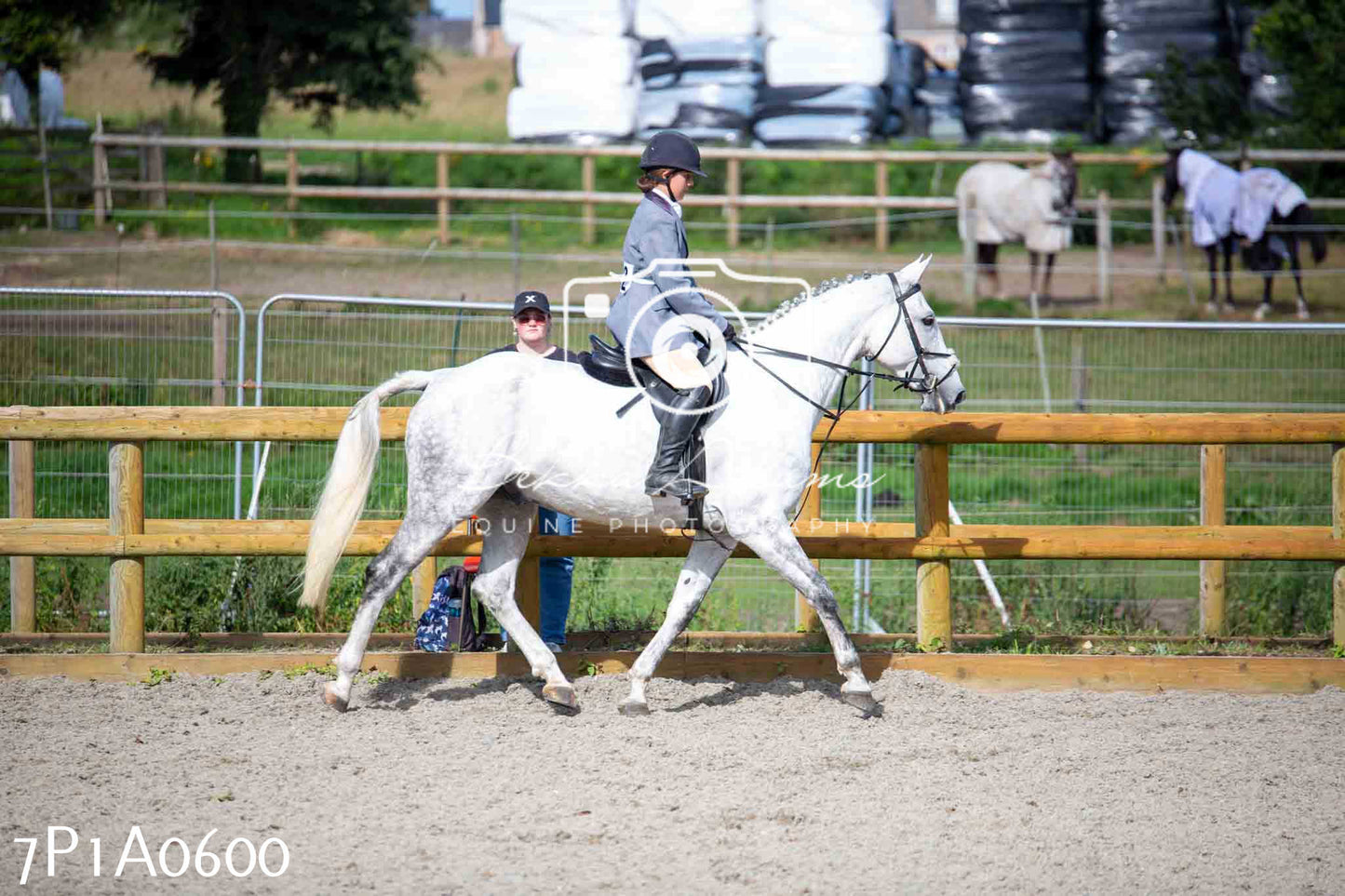 Home Farm Annual Show - Working Hunter 19th August 2023