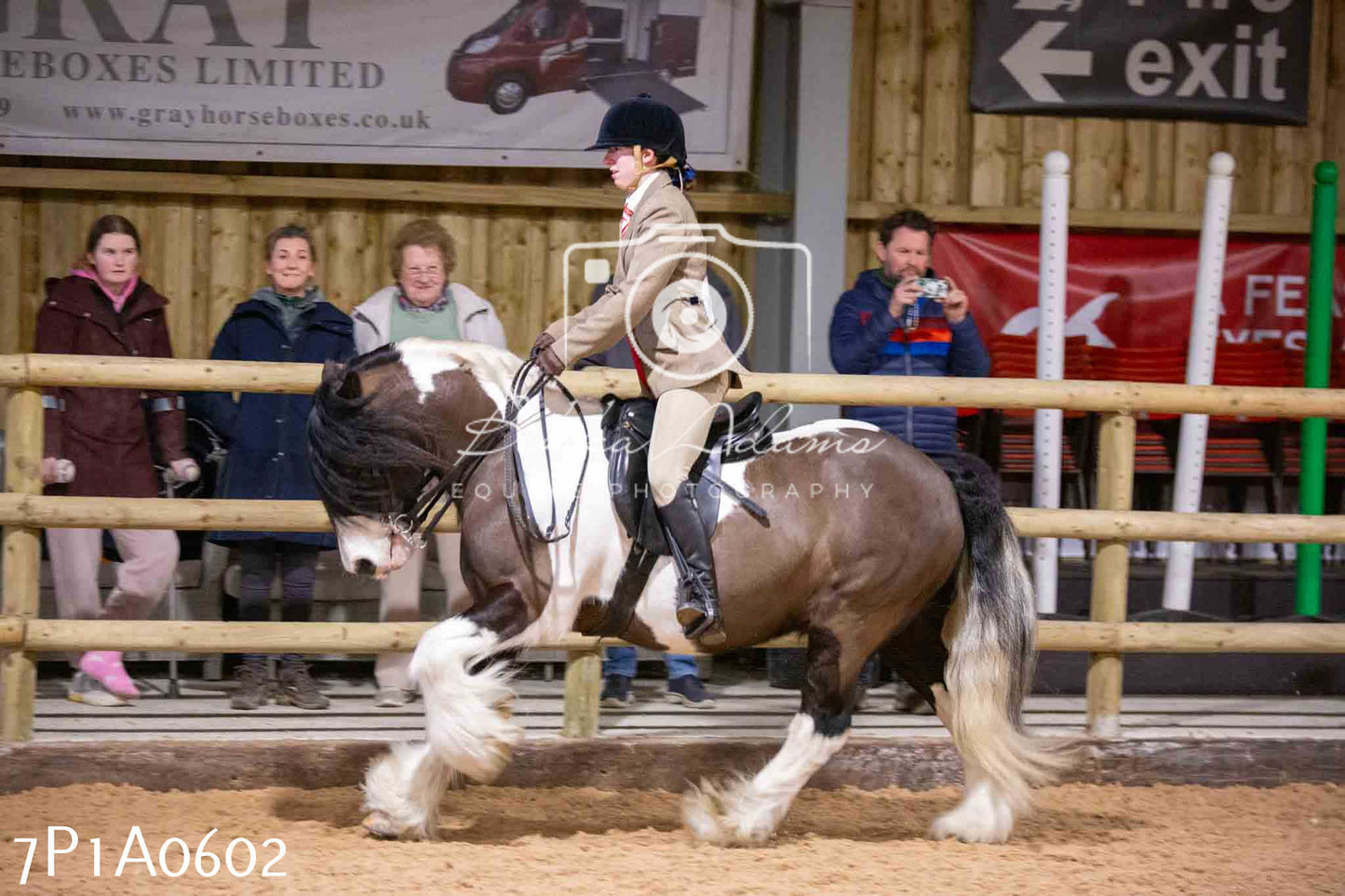 Home Farm Spring Show - Ridden Showing 24th March 2024 - Part 2