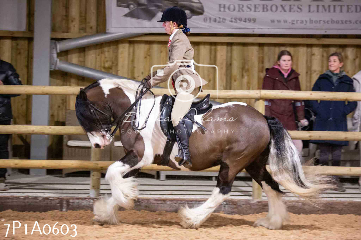 Home Farm Spring Show - Ridden Showing 24th March 2024 - Part 2