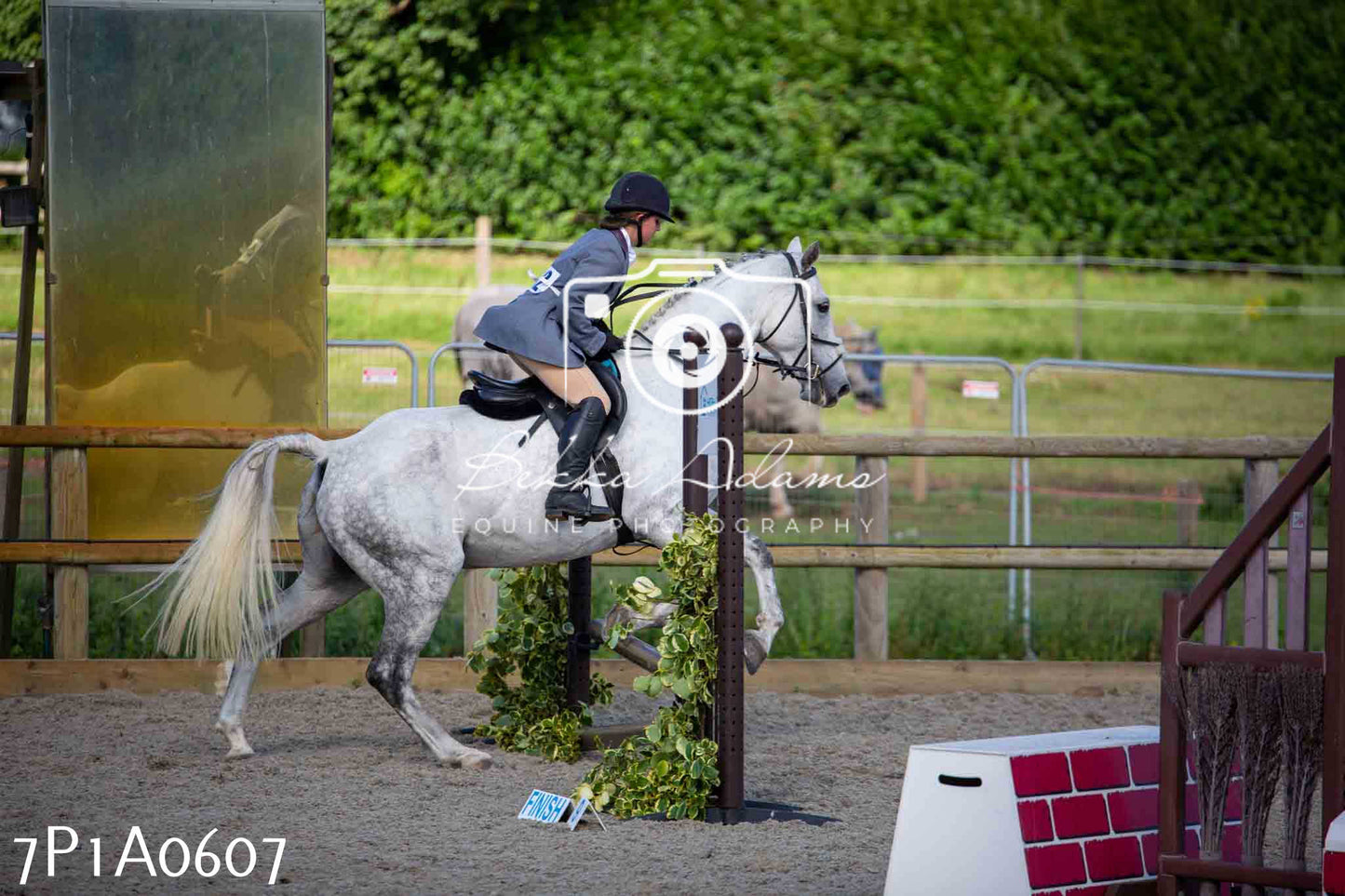 Home Farm Annual Show - Working Hunter 19th August 2023
