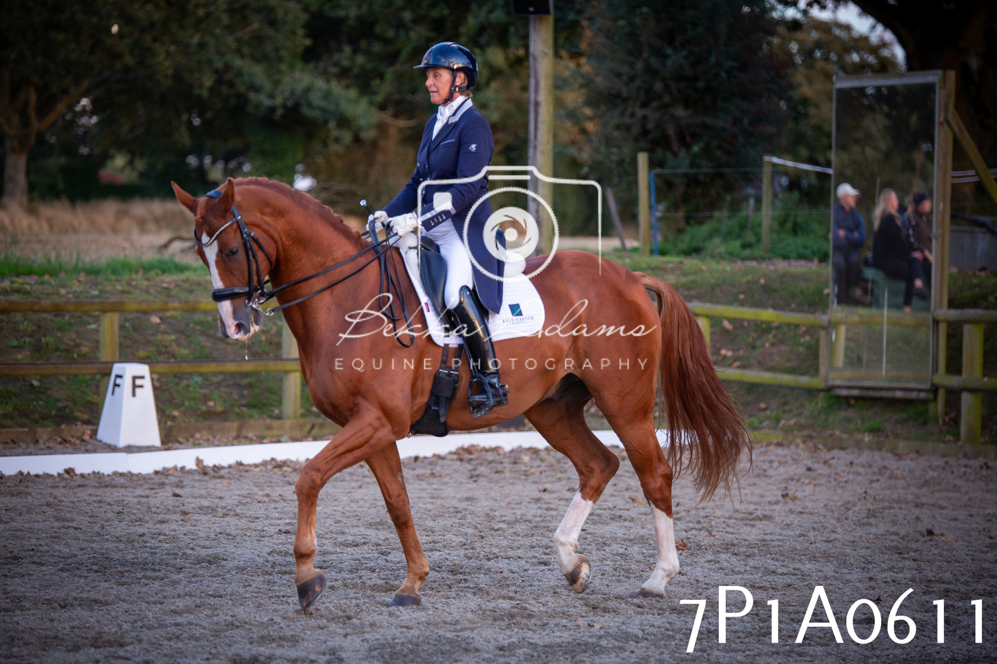 JHOYS 2025 - Dressage - 13th September