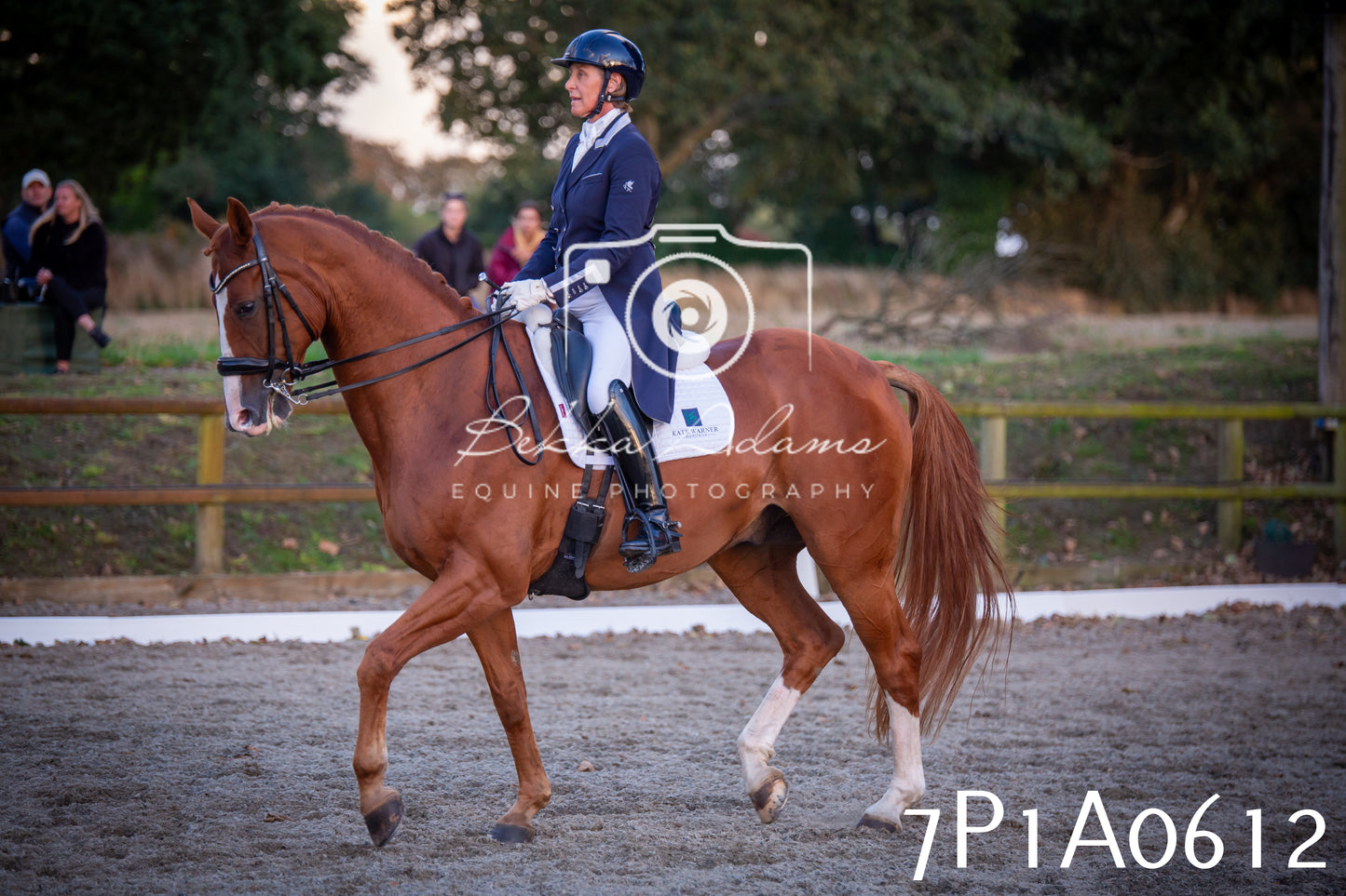JHOYS 2025 - Dressage - 13th September