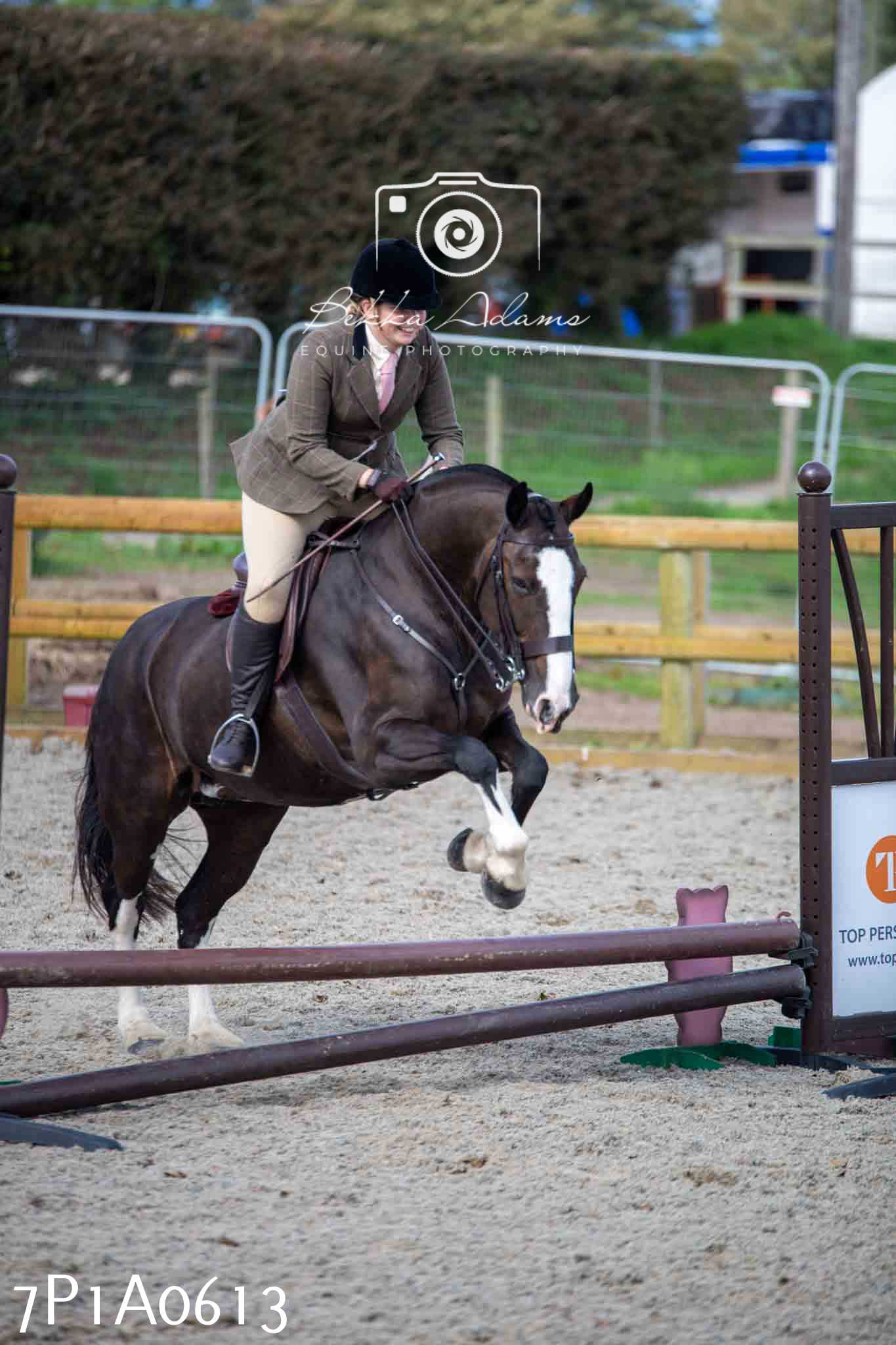 Home Farm Annual Show - Working Hunter 19th August 2023