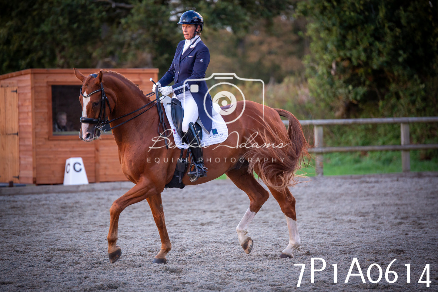JHOYS 2025 - Dressage - 13th September