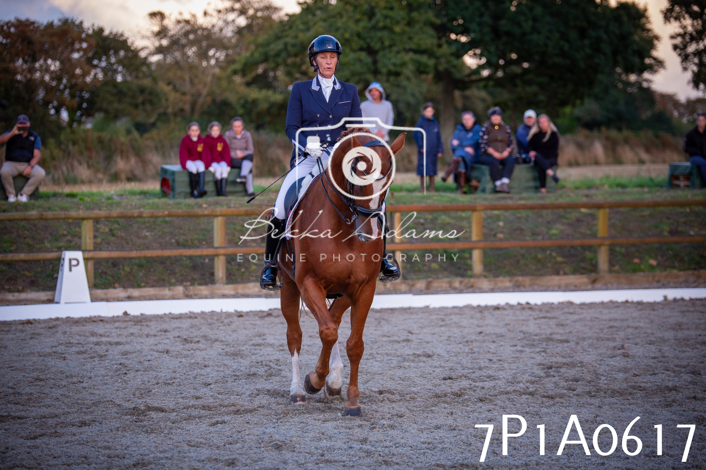 JHOYS 2025 - Dressage - 13th September