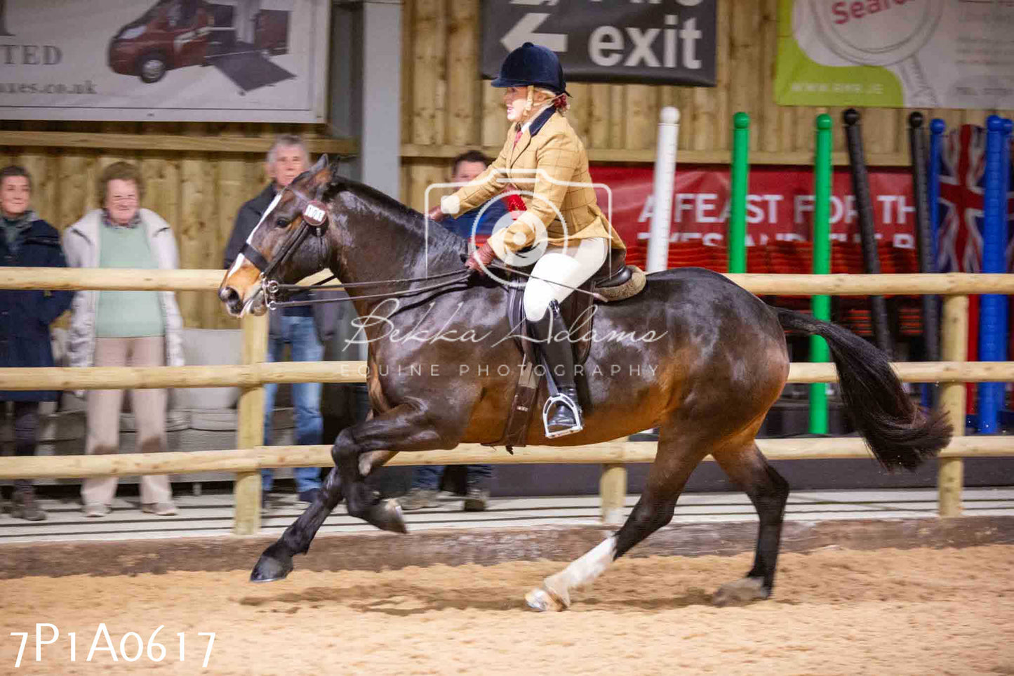 Home Farm Spring Show - Ridden Showing 24th March 2024 - Part 2
