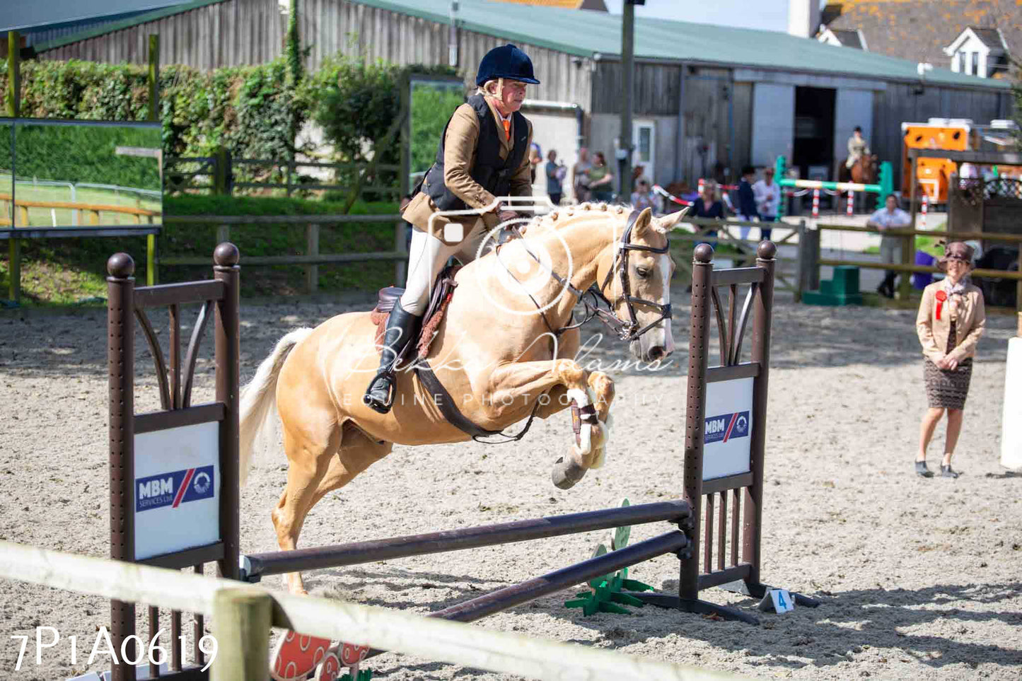 Home Farm Annual Show - Working Hunter 19th August 2023
