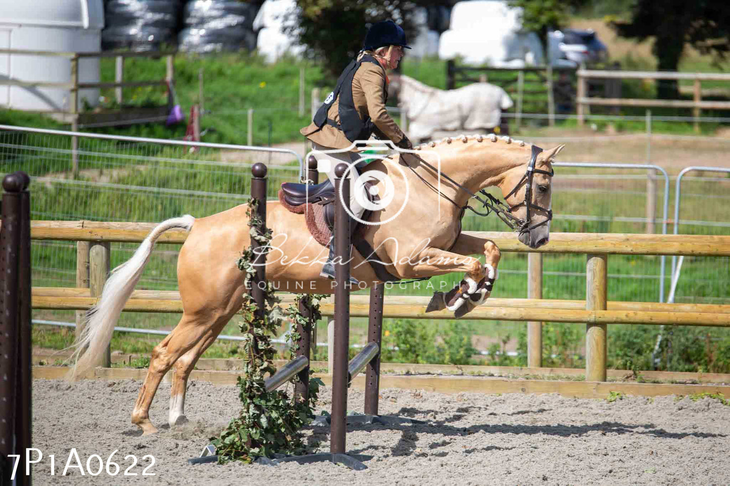 Home Farm Annual Show - Working Hunter 19th August 2023