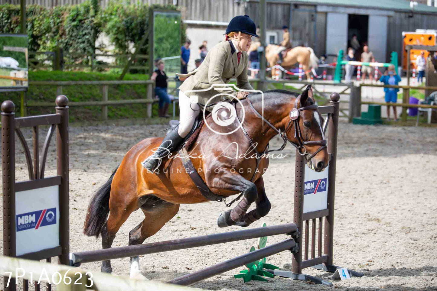 Home Farm Annual Show - Working Hunter 19th August 2023
