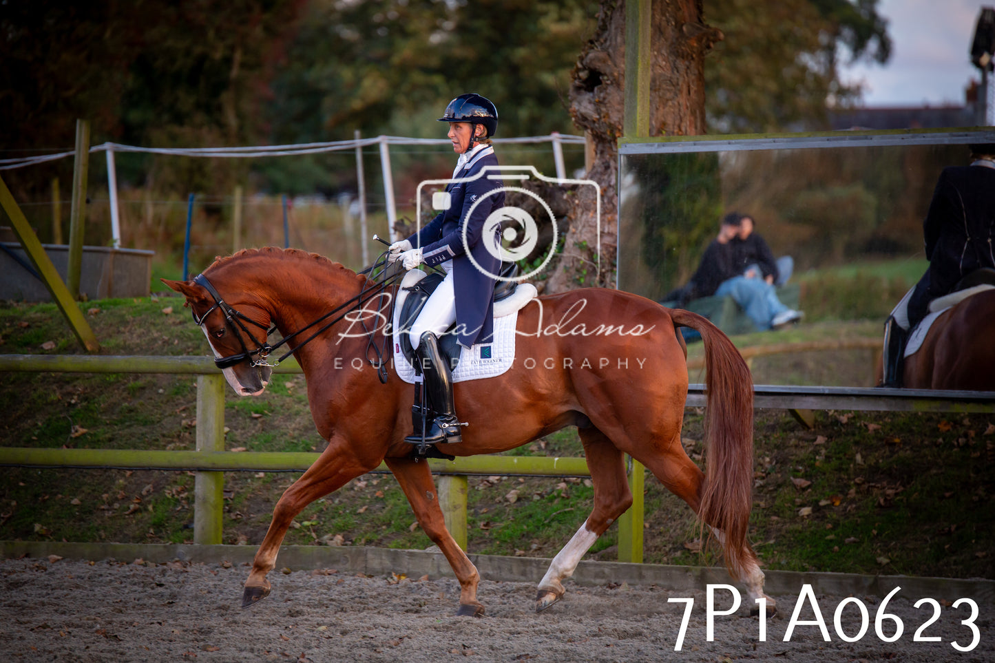 JHOYS 2025 - Dressage - 13th September