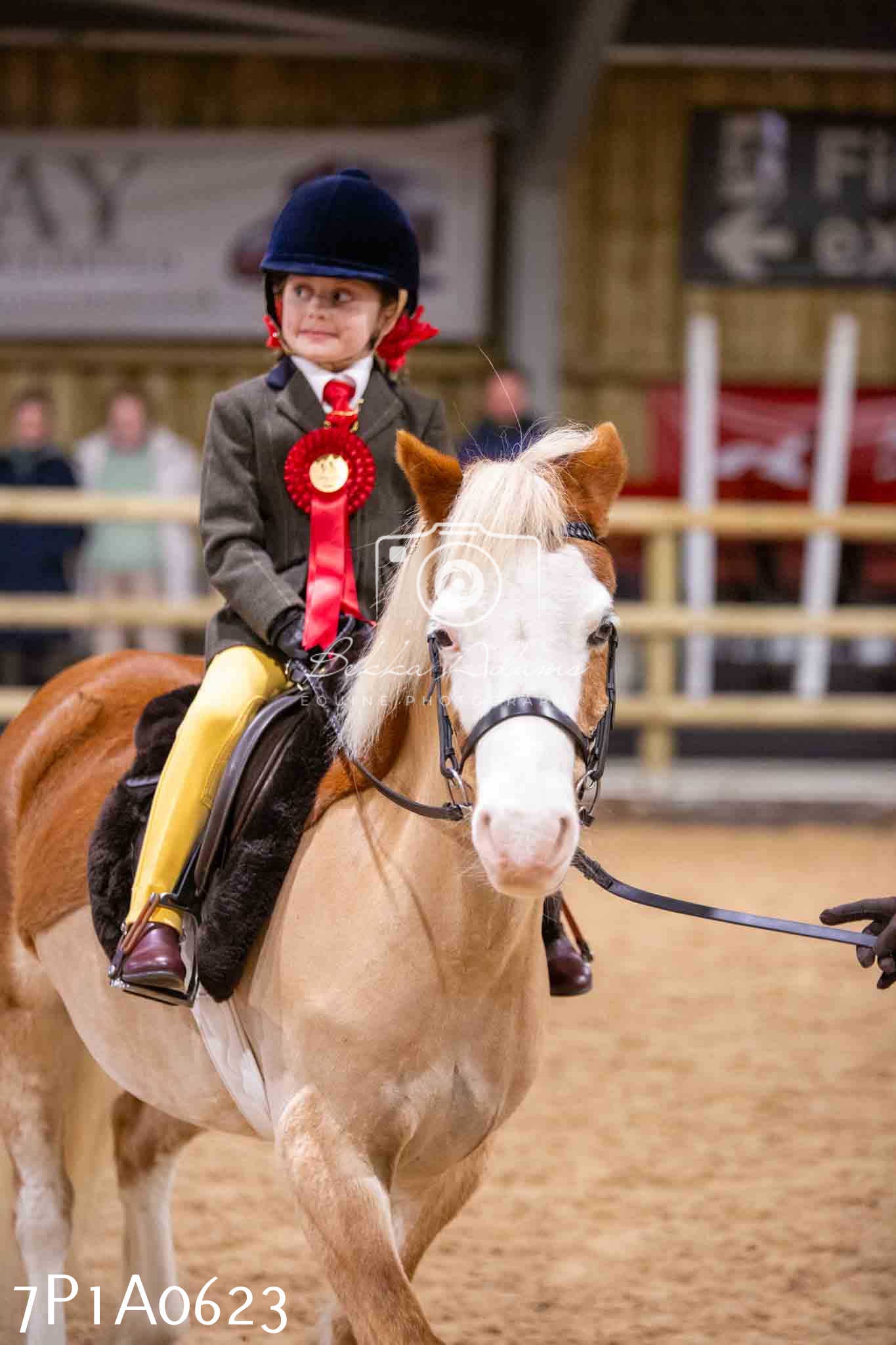 Home Farm Spring Show - Ridden Showing 24th March 2024 - Part 2