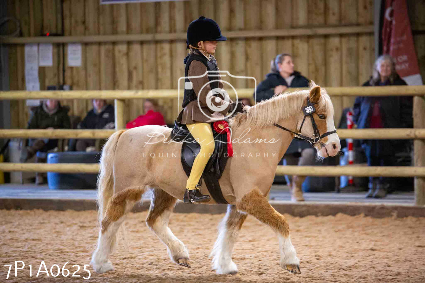 Home Farm Spring Show - Ridden Showing 24th March 2024 - Part 2