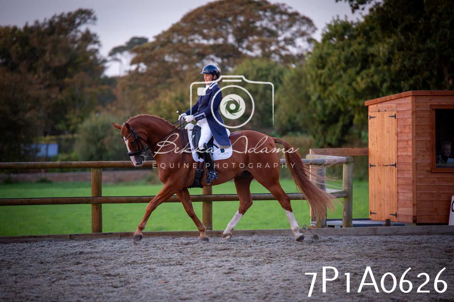 JHOYS 2025 - Dressage - 13th September