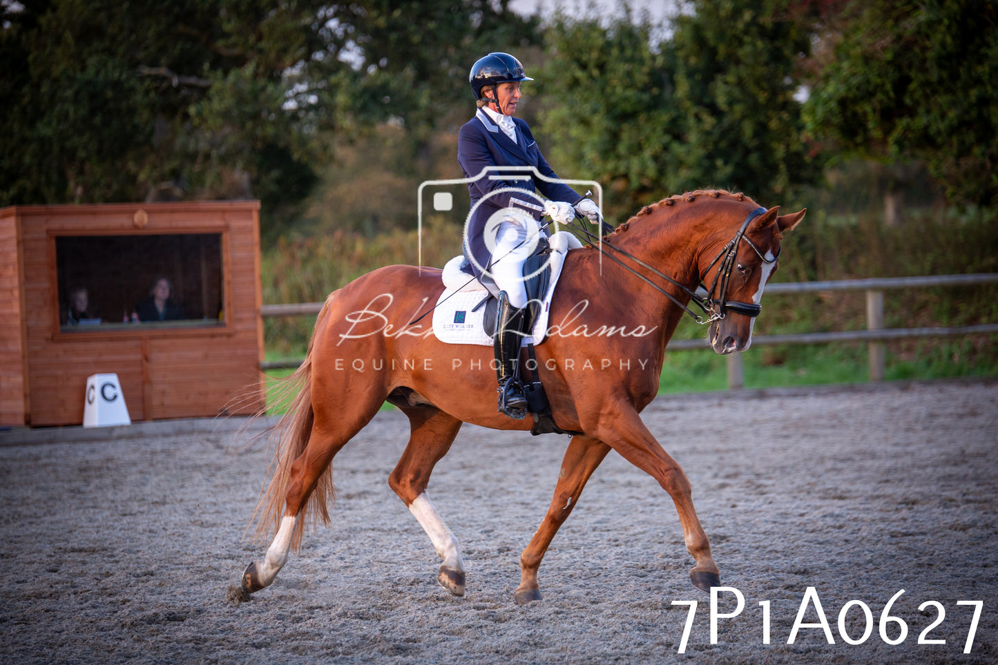 JHOYS 2025 - Dressage - 13th September