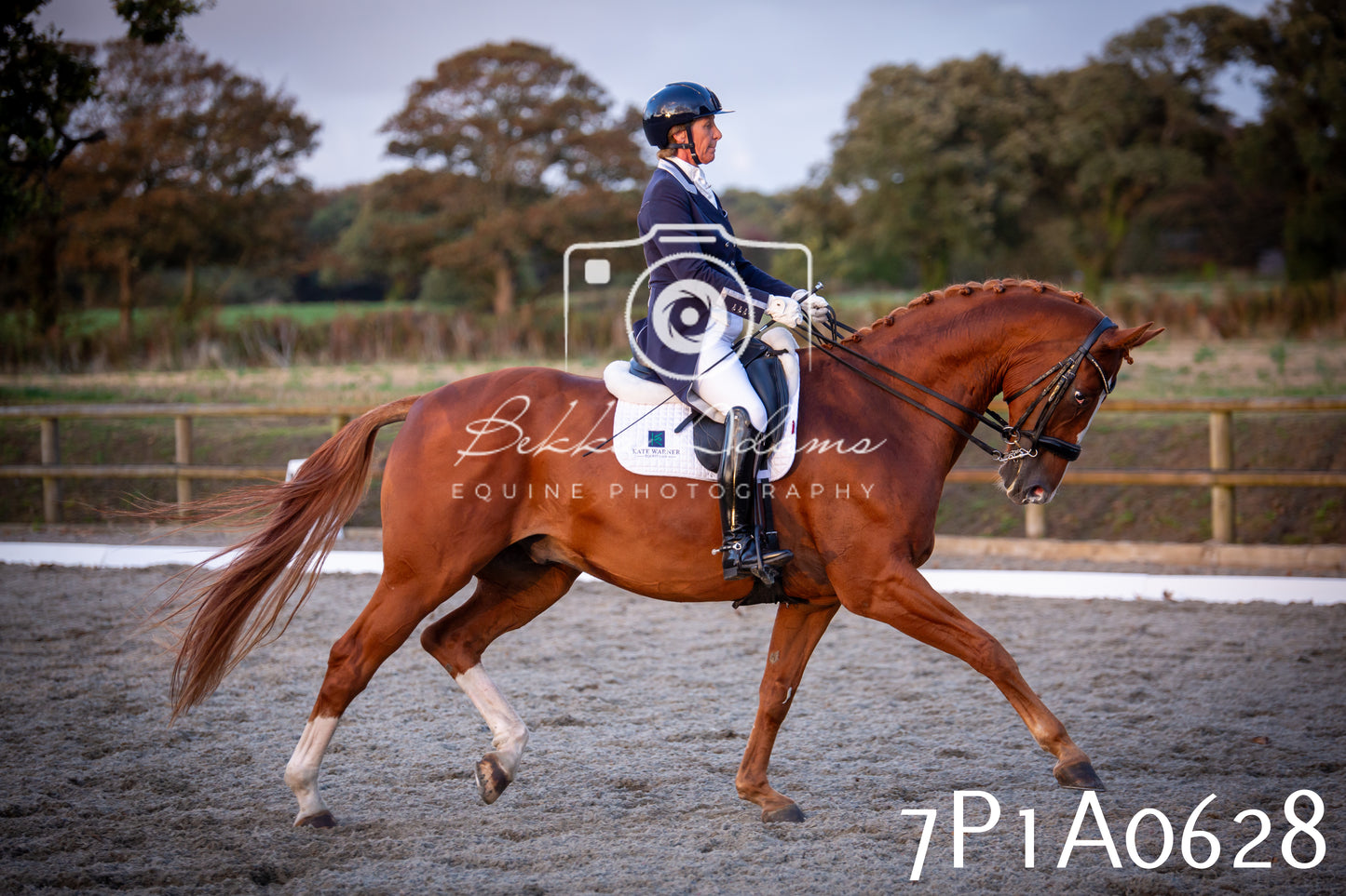 JHOYS 2025 - Dressage - 13th September