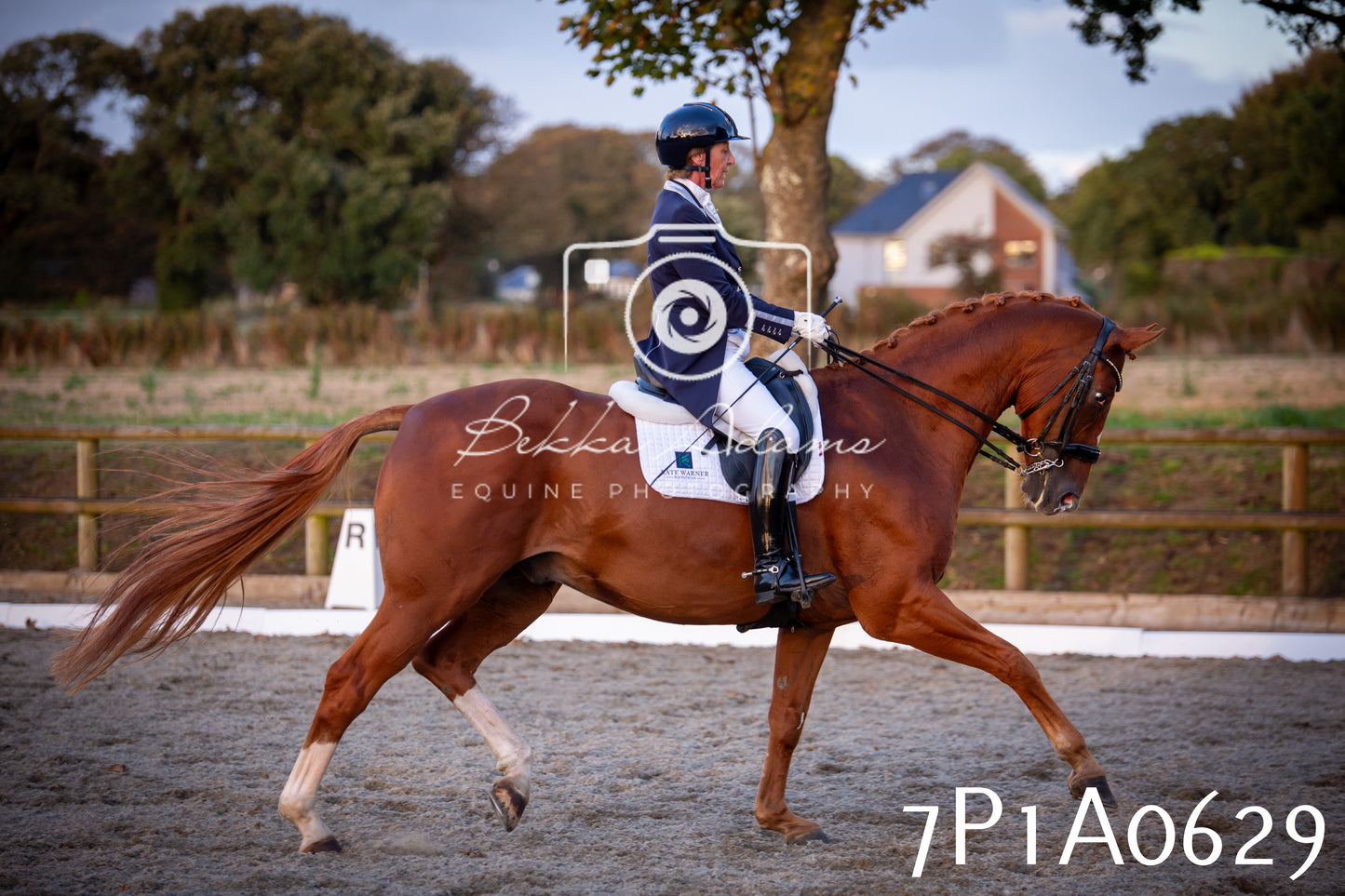JHOYS 2025 - Dressage - 13th September