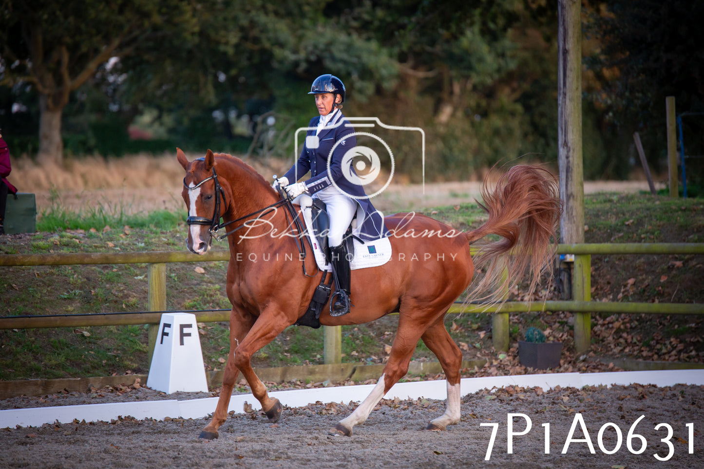 JHOYS 2025 - Dressage - 13th September