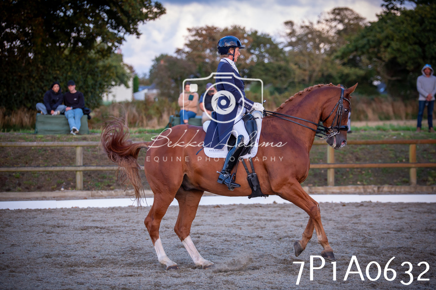 JHOYS 2025 - Dressage - 13th September