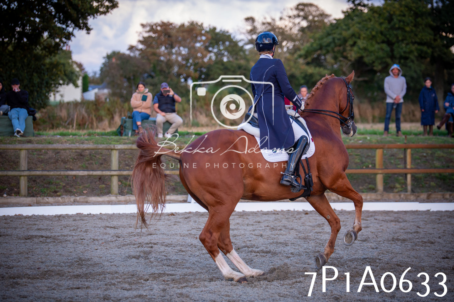 JHOYS 2025 - Dressage - 13th September
