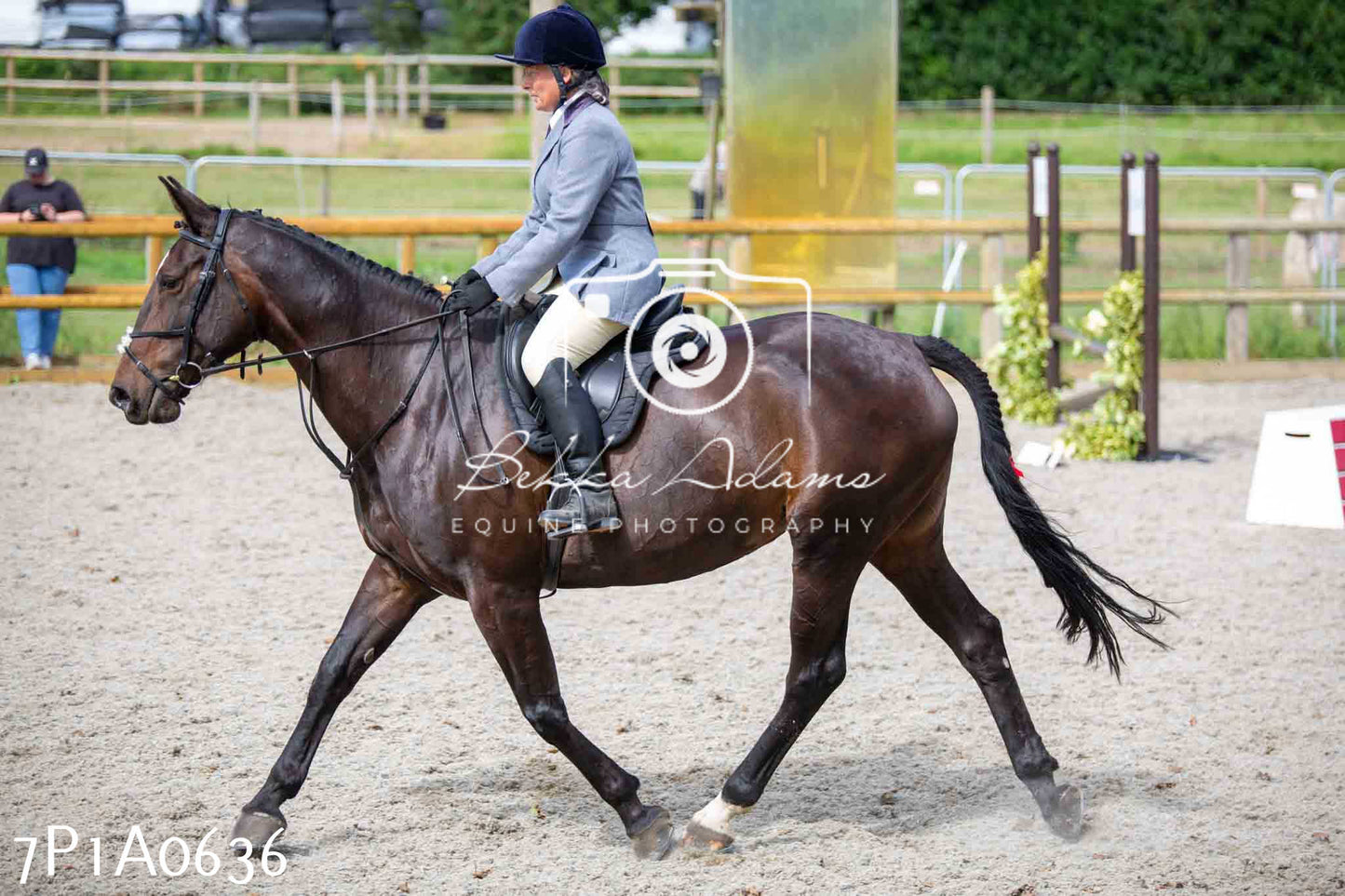 Home Farm Annual Show - Working Hunter 19th August 2023