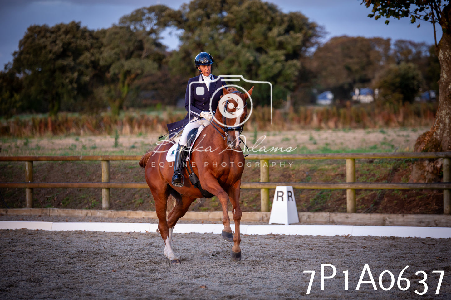 JHOYS 2025 - Dressage - 13th September