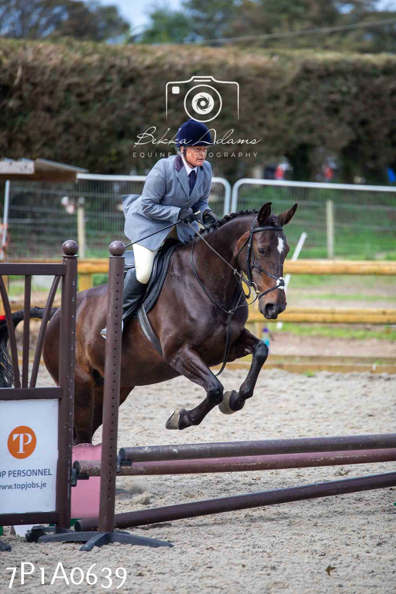 Home Farm Annual Show - Working Hunter 19th August 2023
