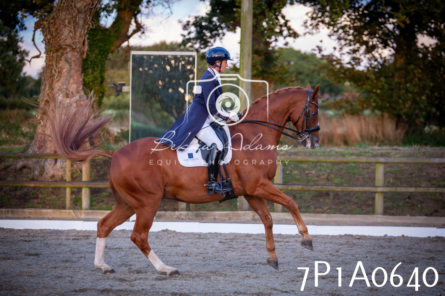 JHOYS 2025 - Dressage - 13th September