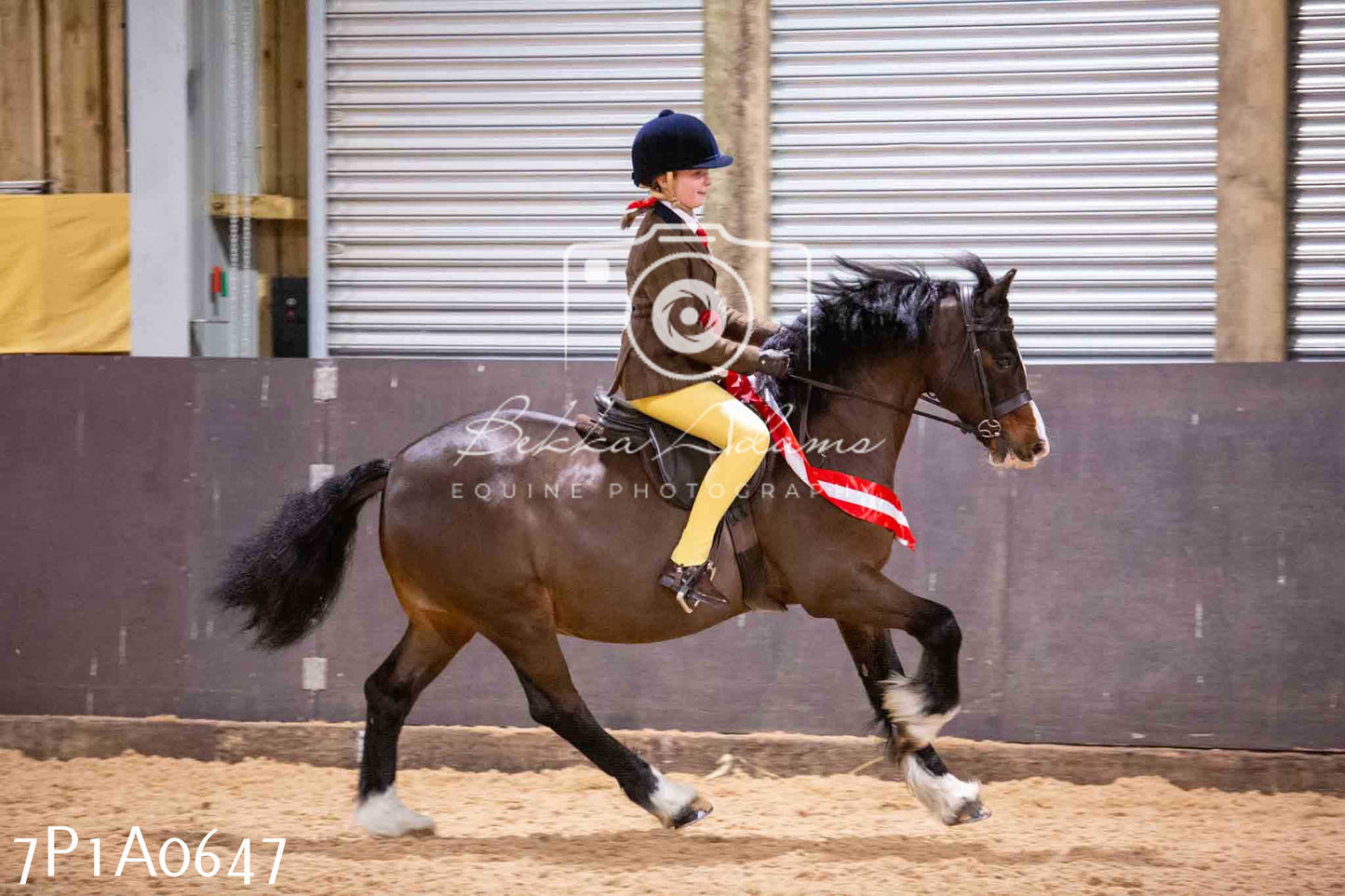 Home Farm Spring Show - Ridden Showing 24th March 2024 - Part 2