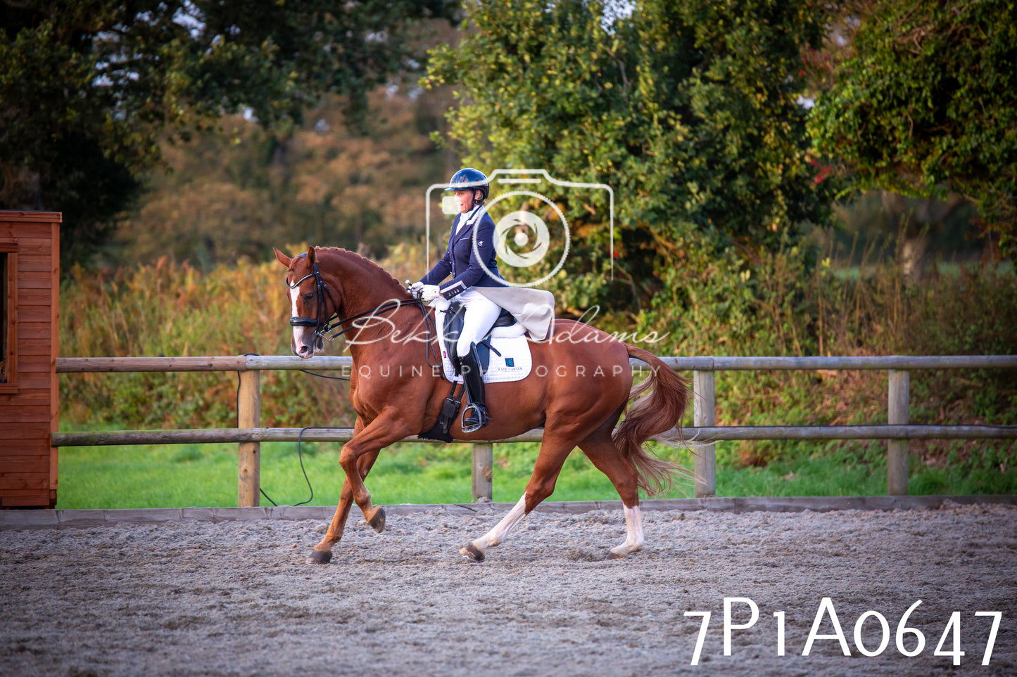 JHOYS 2025 - Dressage - 13th September