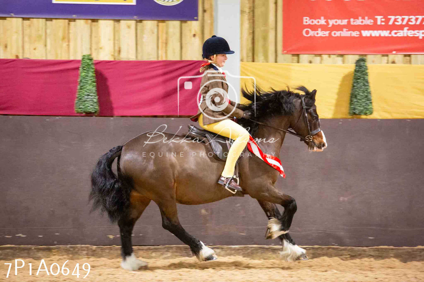 Home Farm Spring Show - Ridden Showing 24th March 2024 - Part 2