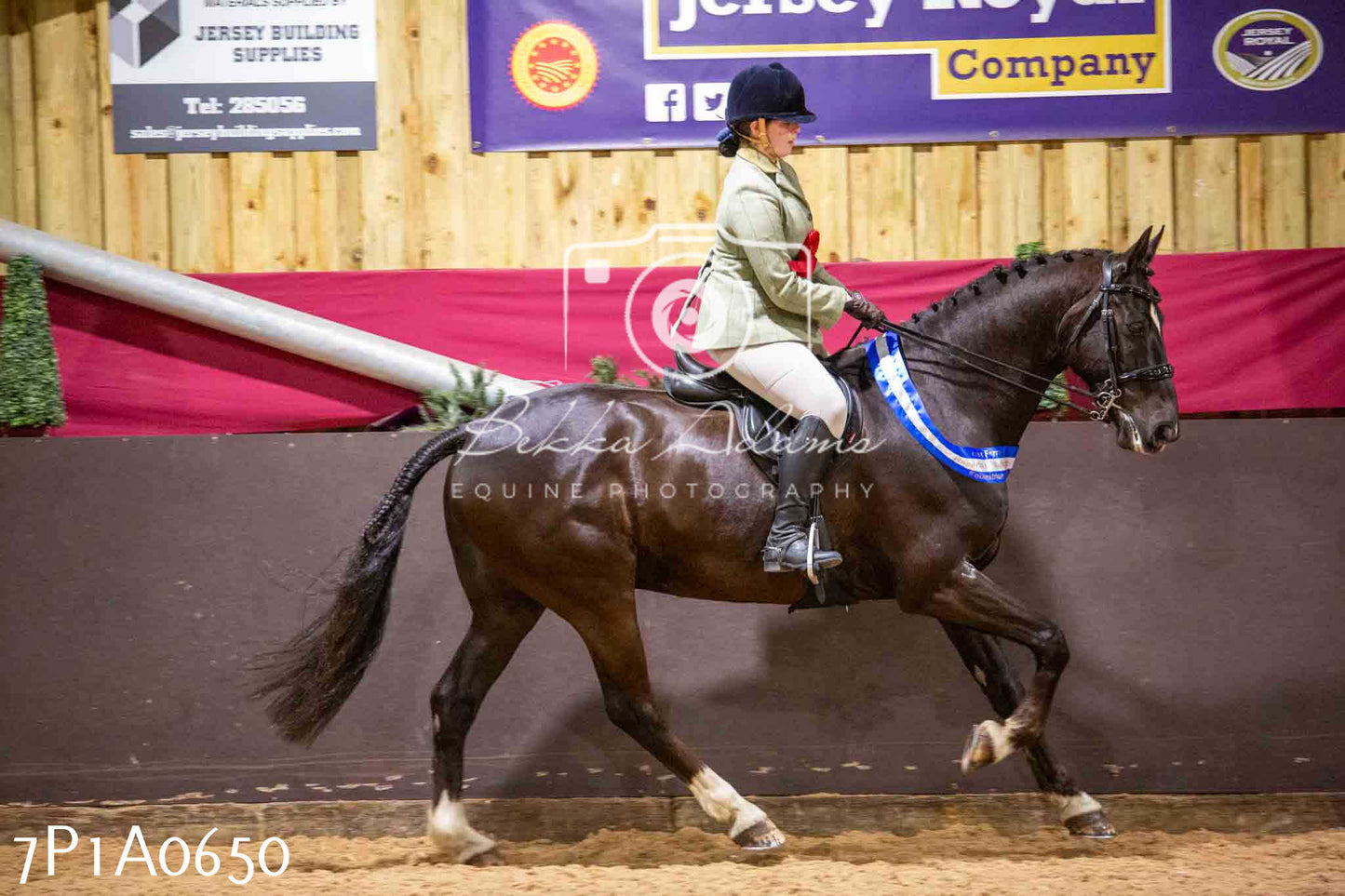 Home Farm Spring Show - Ridden Showing 24th March 2024 - Part 2