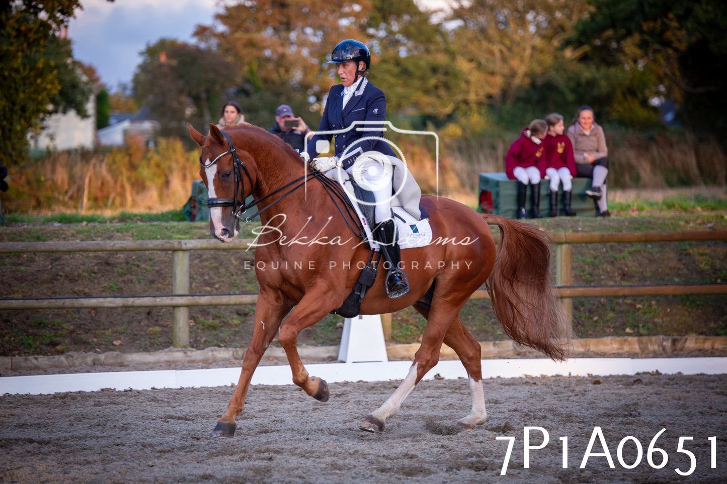 JHOYS 2025 - Dressage - 13th September