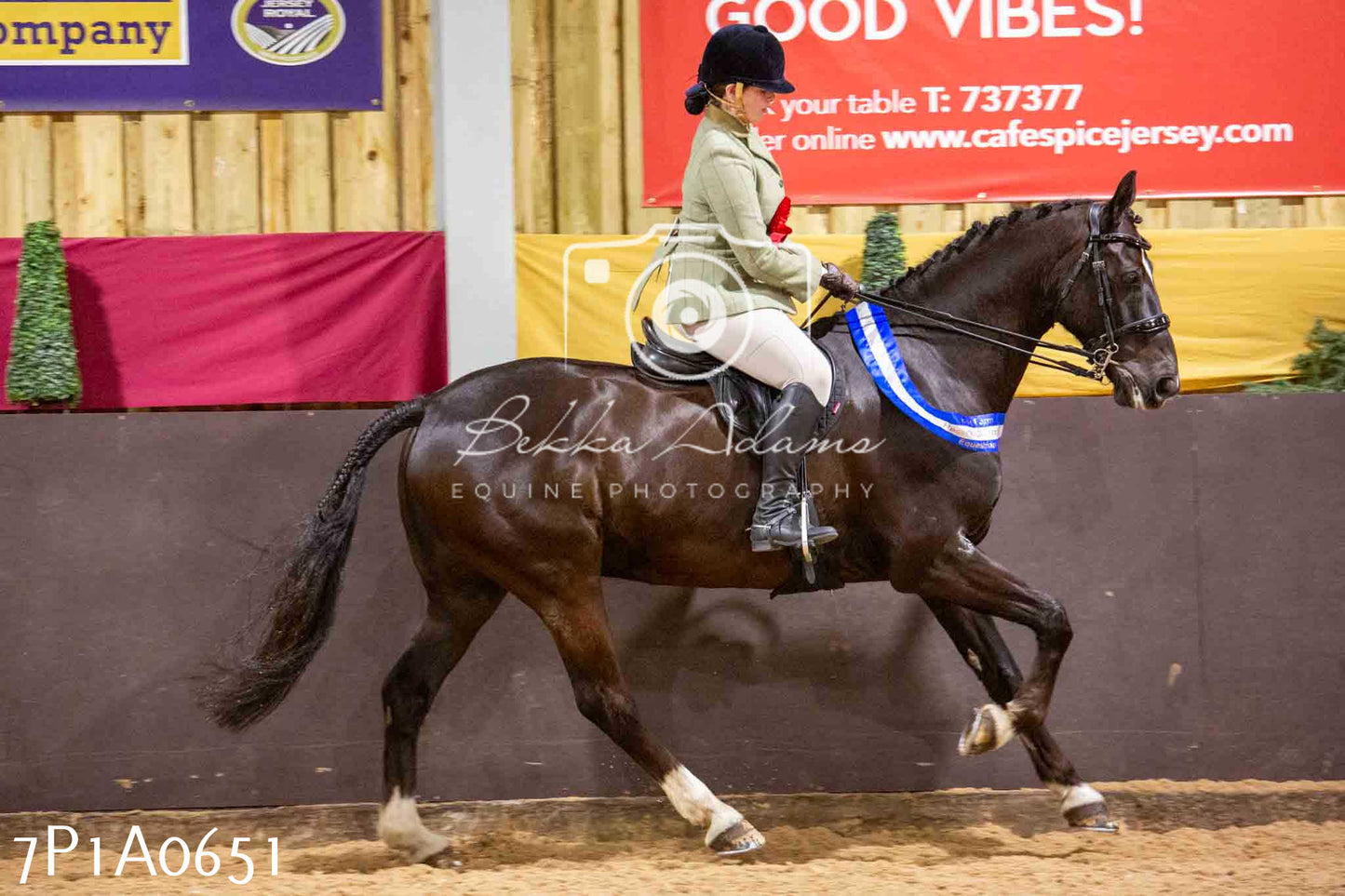 Home Farm Spring Show - Ridden Showing 24th March 2024 - Part 2