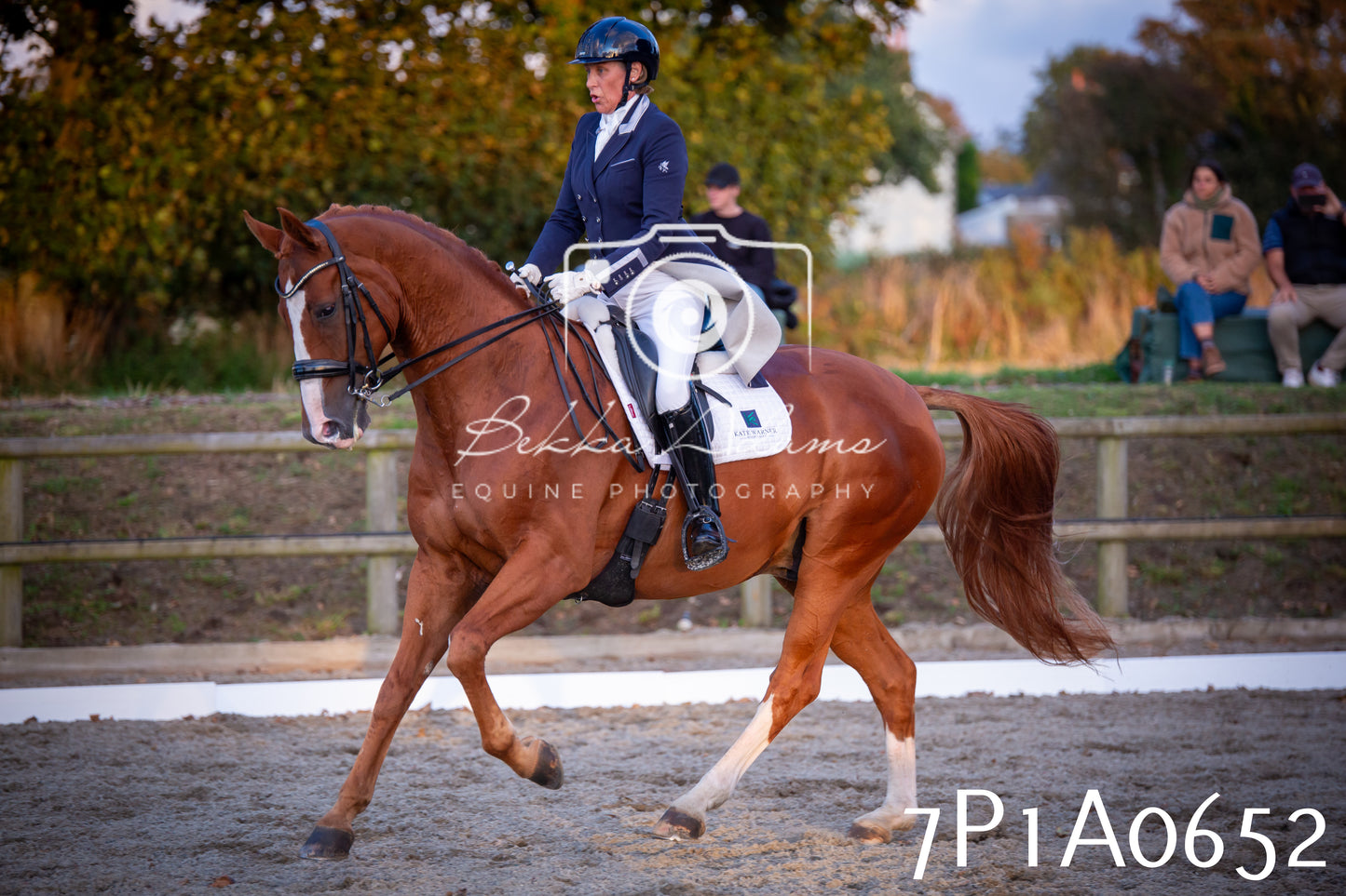 JHOYS 2025 - Dressage - 13th September