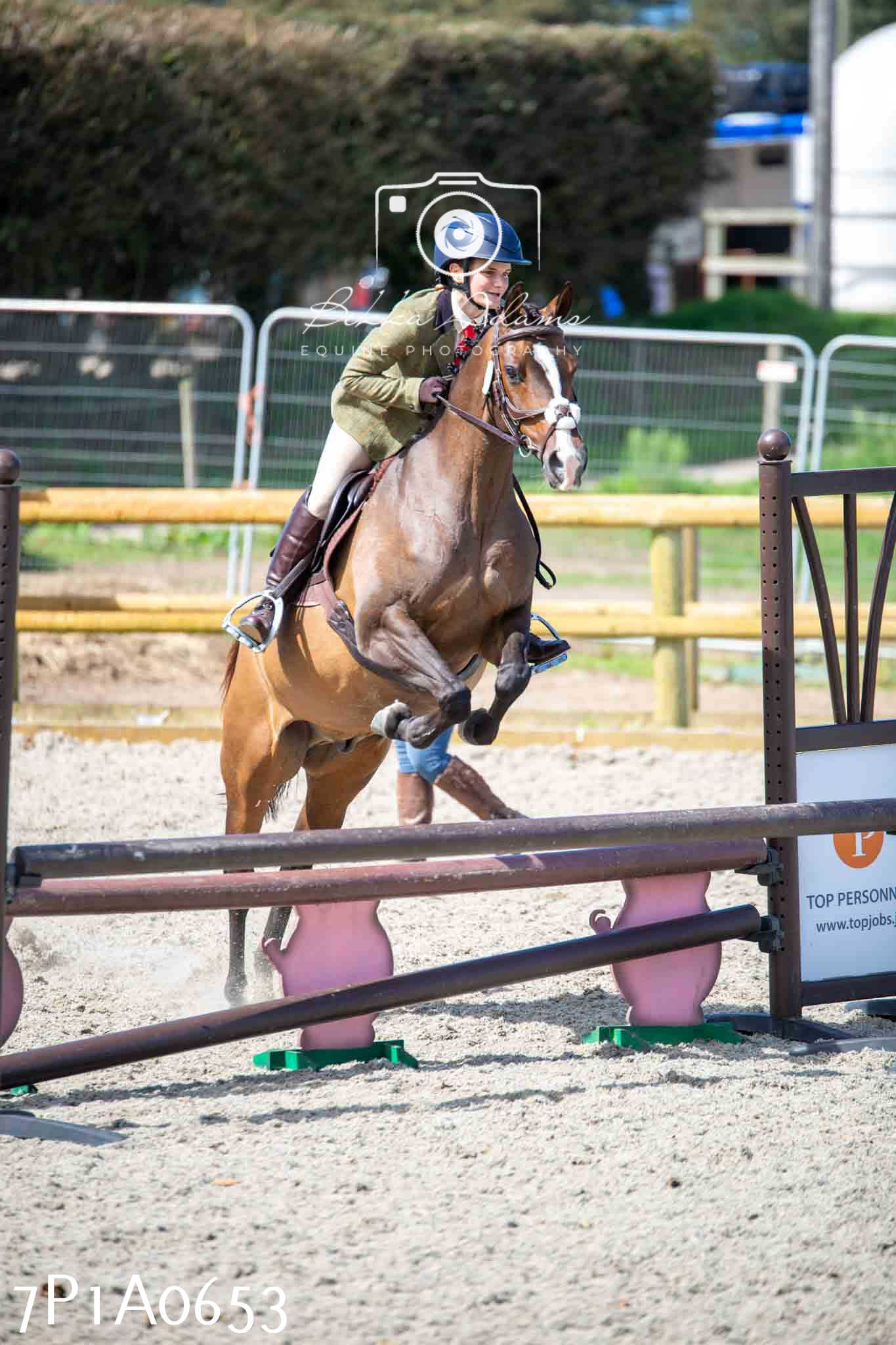 Home Farm Annual Show - Working Hunter 19th August 2023
