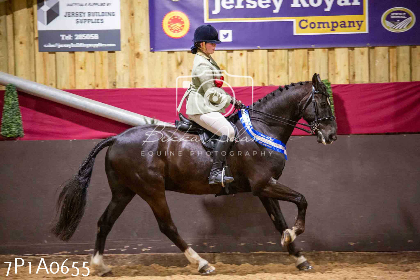 Home Farm Spring Show - Ridden Showing 24th March 2024 - Part 2