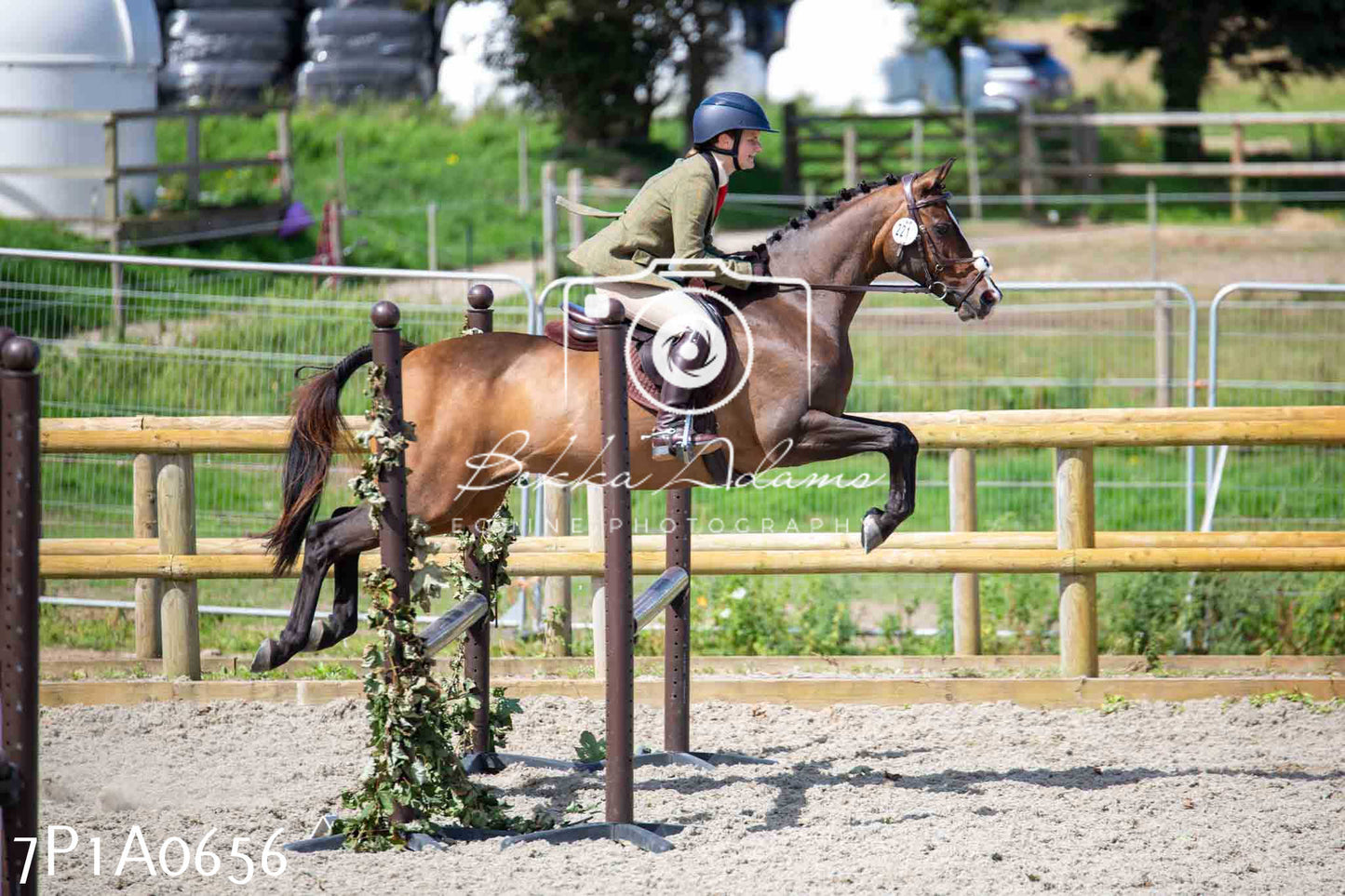 Home Farm Annual Show - Working Hunter 19th August 2023