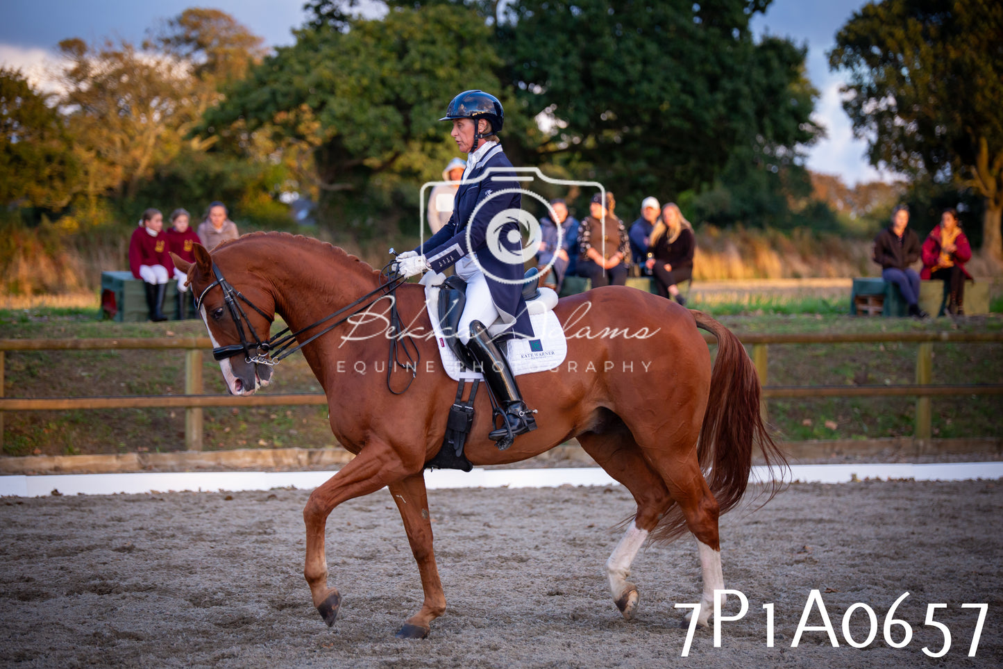 JHOYS 2025 - Dressage - 13th September