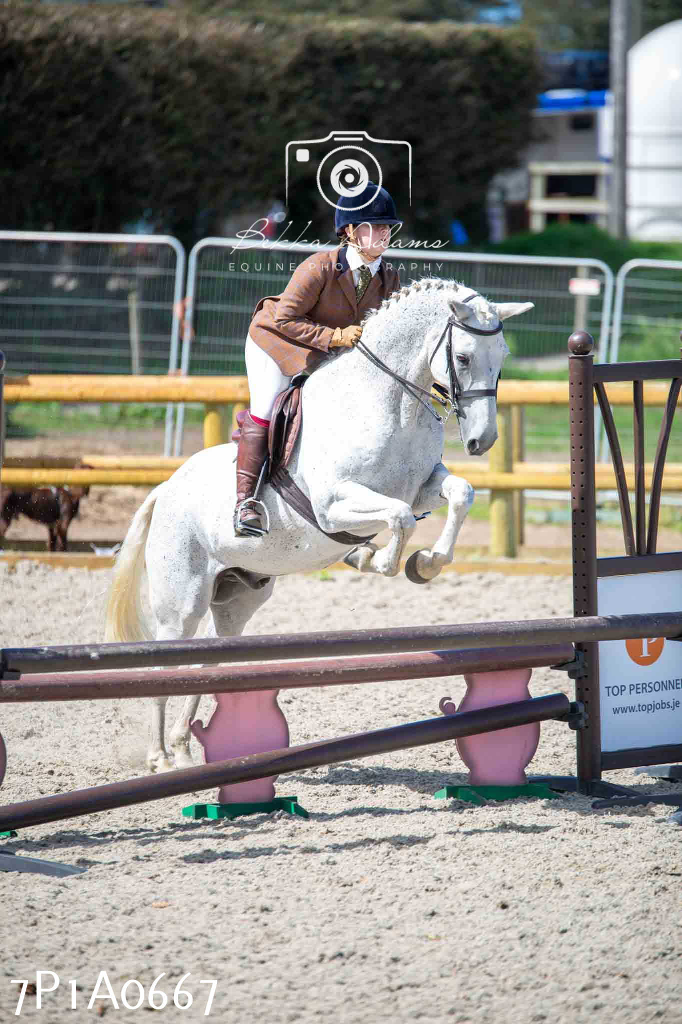 Home Farm Annual Show - Working Hunter 19th August 2023
